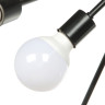 Люстра N3318/6 6*40W E27 (q-780 h-235) VERNER LIGHTING *1