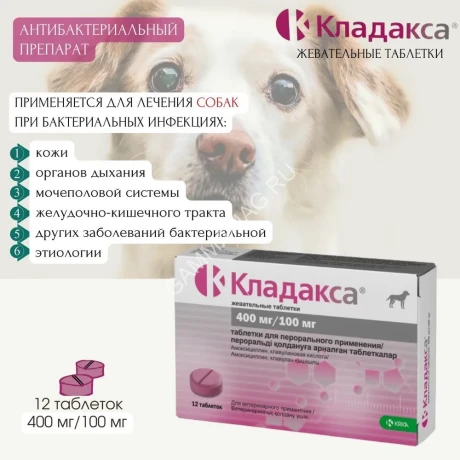 Кладакса, жевательные таблетки, 400 мг/100мг, №12 (ЛИЦЕНЗИЯ)