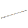 Лампа люминесцентная 36W G13 6,5К Т8 OSRAM 765 *25