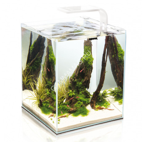 Аквариум Акваэль (Aqua El) Shrimp Set Smart Led Day&Night 20 белый 19л (25*25*30)набор для креветок