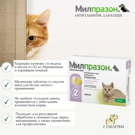 Милпразон (KRKA) 4/10мг 2таб. антигельминтик для котят и кошек весом до 2кг, 1таб./1-2кг (ЛИЦЕНЗИЯ)