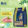 Brit Premium Dog Puppy and Junior Medium 1кг курица сухой для щенков и молодых собак (5049912)