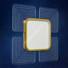 Светильник светодиодный акриловый 400мм 80W H2062 40W*2 white с пультом *1