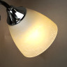Бра А2224/2W CH+AN E27 2*40Вт (200*150*380) VERNER LIGHTING *1