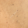 ДВП 3,2х2745х1700мм (4,67м2) ТС Т гр. А сорт 1 (Туринск) *160