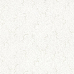 Обои флиз "HomeColor" Good HC31173-12 1,06*10м *1/6