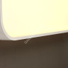 Светильник светодиодный акриловый 490мм 96W 8798В/48W*2 LED 3 реж(т. и х.свет,смеш)пульт S=25м2 VERNER LIGHTING *1/5