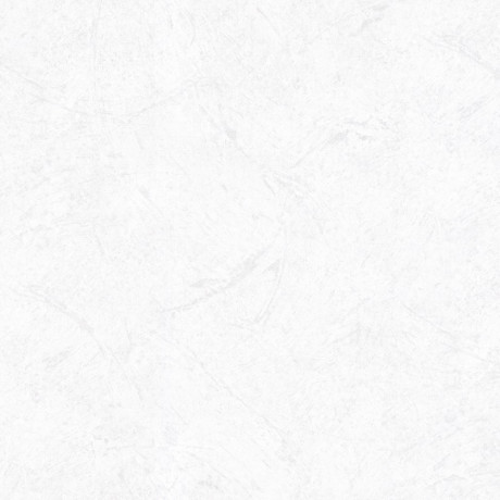 Обои флиз "HomeColor" Sibir фон PL72156-14 1,06*10м *1/6