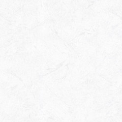 Обои флиз "HomeColor" Sibir фон PL72156-14 1,06*10м *1/6