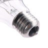 Лампа накаливания 75W Е27 груша 230-230V *100