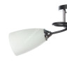 Люстра N1684/2 BK+ CH Е27 2*40Вт (h=240; d=600) S=8м2 VERNER LIGHTING *1