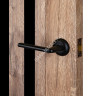 Дверь межкомнатная глухая ESTETICA 303 ПВХ Канадский дуб 800 мм BROZEX-WOOD *1