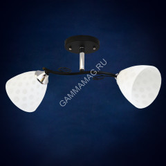 Люстра N2996/2 BK+CH 2*40W E27 (h=235 w=200 l=520) S=8м2 VERNER LIGHTING *1