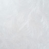 Обои флиз. Артекс FREEDOM Перо 10888-03 10х1.06м *1/6