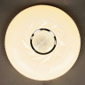 Светильник светодиодный акриловый 500мм 80W 8912/40W*2 RGB LED 3 реж пульт VERNER LIGHTING
