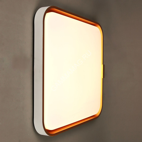Светильник светодиодный акриловый 500х500мм 96W 8901B/48W*2 LED 3 реж пульт VERNER LIGHTING