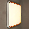 Светильник светодиодный акриловый 500х500мм 96W 8901B/48W*2 LED 3 реж пульт VERNER LIGHTING