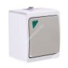 Выключатель "Вуокса" ОП 1кл. белый с подсветкой 10А IP54 TDM SQ1803-0004 *10/100