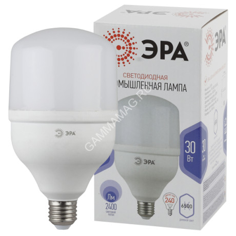 Лампа светодиодная 30W Е27 колокол 6,5К холодный Т100-30W-6500-E27 LED POWER ЭРА*10/20