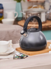 Чайник нерж. со свистком 2,8л д/ИНДУКЦ плит Серый КТ-138G "Катунь" *1/12