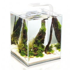 Аквариум  (Aqua El) Shrimp Set Smart Led Day&amp;Night 30 белый 30л (29*29*35)набор для креветок