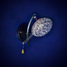Бра N2281/1W ВК+CH E27 1*40Вт (200*200*130) VERNER LIGHTING *1