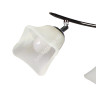 Люстра K1373/4 BK Кувшинки 4*60W E14 220V (h=280, w=200, l=750) S=16м2 VERNER LIGHTING *1
