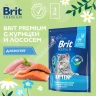 Brit Premium Cat 2кг Kitten курица сухой корм для котят (5049677)